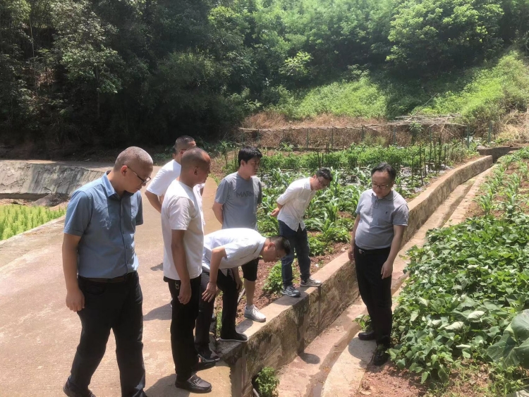 fileUpload (22)_副本.jpg
